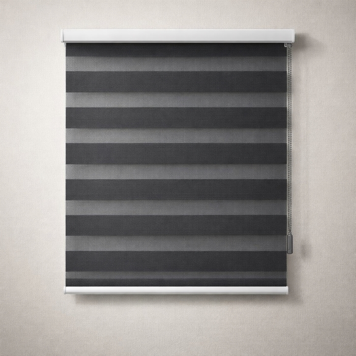 Vista Day & Night Blind - Charcoal - presentation Vista Day & Night Blind - Charcoal - Image 1